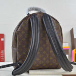 Louis vuitton Palm Springs Backpack PM M41561 Black